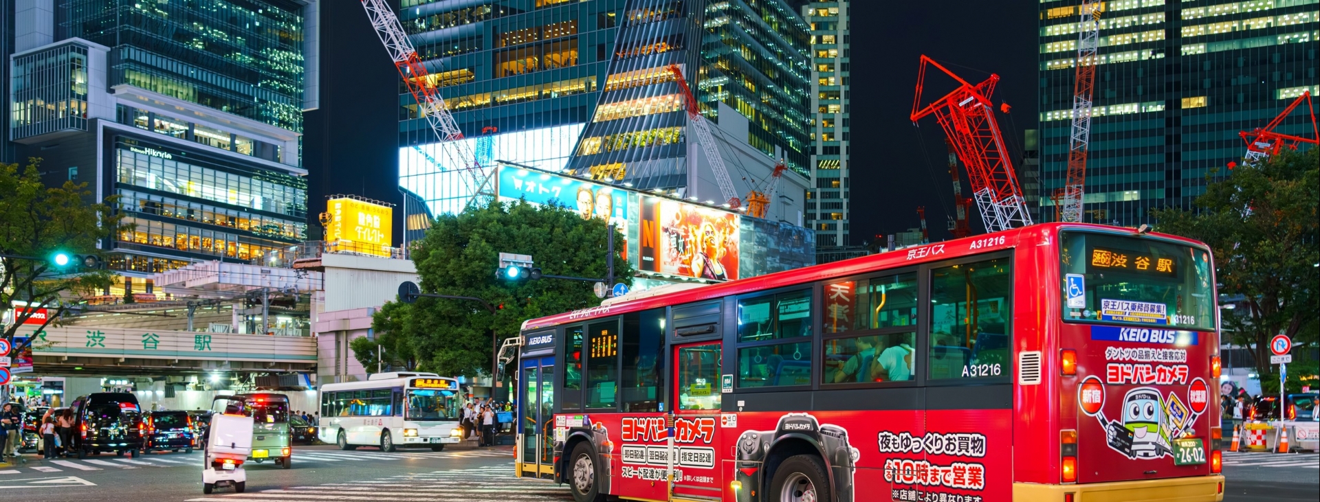 Japonya Sakura R�yas�: Japonya Bahar Turu